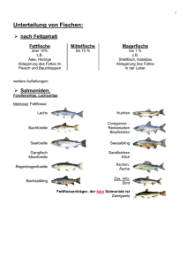 Unterteilung von Fischen