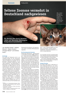 Seltene Zoonose vermehrt in Deutschland