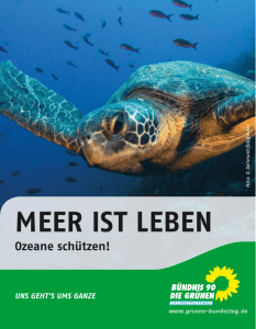 Meer ist Leben - Ozeane schützen! (Flyer 18/68)
