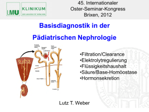 Basisdiagnostik Paed. Nephrologie, 1.173 Kb