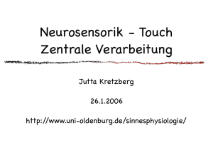 Neurosensorik - Touch Zentrale Verarbeitung