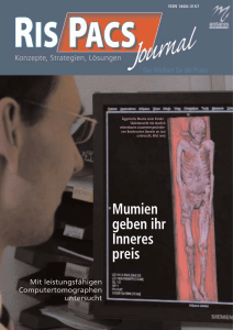 Mumien geben ihr Inneres preis - Medizin-EDV