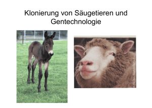 Klonierung von Säugetieren und Gentechnologie