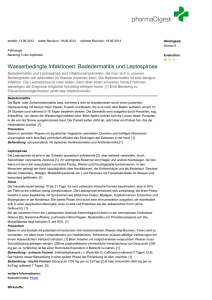 Wasserbedingte Infektionen: Badedermatitis und Leptospirose