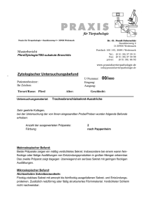 Pferd - Zytologie - TBS - subakute Bronchitis