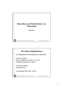 Biosynthese und Metabolismus von Nukleotiden