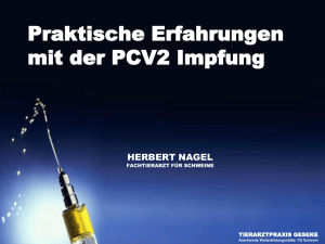PCV2-Impfung – praktische Erfahrungen | Nagel - vivet
