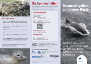 an unserer Küste - Stiftung Deutsches Meeresmuseum