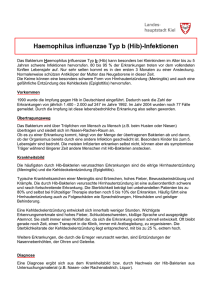 Informationsblatt: Haemophilus influenzae Typ b (Hib