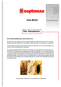 Hausbock - Hauptmann GmbH