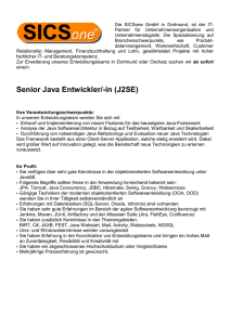 Senior Java Entwickler/-in (J2SE)
