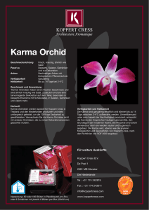Karma Orchid - Koppert Cress