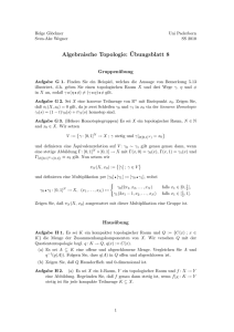 Algebraische Topologie: ¨Ubungsblatt 8