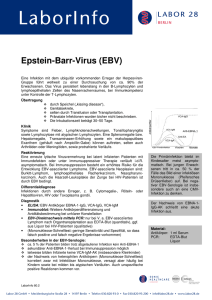 Epstein-Barr-Virus (EBV)