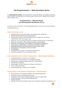 Job Programmierer / WebDeveloper Berlin