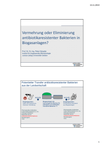 Vermehrung oder Eliminierung antibiotikaresistenter Bakterien in