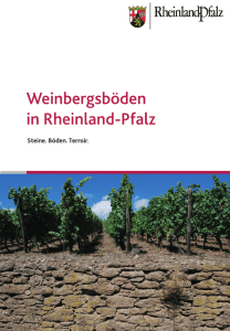 Weinbergsböden in Rheinland-Pfalz