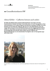 Almut Köhler – Cadherine können auch anders