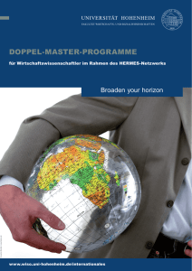 doppel-master-programme