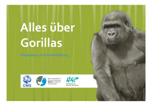 über Gorillas - World Association of Zoos and Aquariums