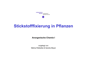 Stickstofffixierung in Pflanzen (Sandra Meyer + Melina Rübbelke)