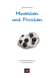 Mineralien und Fossilien