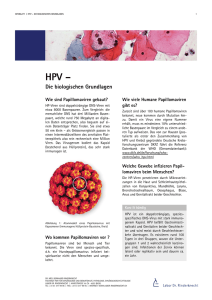 HPV - Labor Rinderknecht