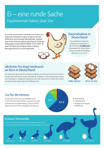 Infografik „Ei – eine runde Sache“ zum Ausdrucken auf 3 Seiten A4