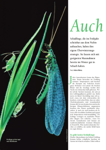 Auch Insekten halten Winterschlaf (Seiten 22-25)