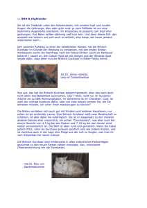 BKH - katzenundmehr.de - Information rund um die Katze