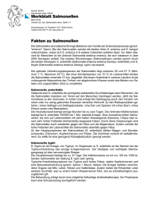 Salmonellen (PDF, 1 Seite, 49 kB)