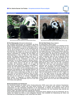 Sind Pandas Vom Aussterben Bedroht