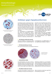 Antikörper gegen Hypophysenhormone