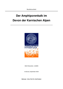 Der Amphiporenkalk im Devon der Karnischen Alpen