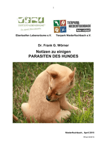 Parasiten des Hundes - Tierpark Niederfischbach