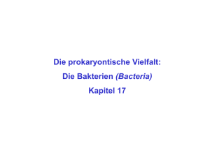 Die prokaryontische Vielfalt: Die Bakterien (Bacteria) Kapitel 17