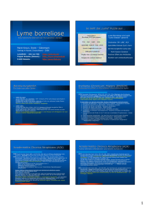 Lyme borreliose