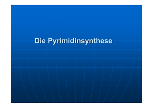 Die Pyrimidinsynthese - Biochemie Trainingscamp