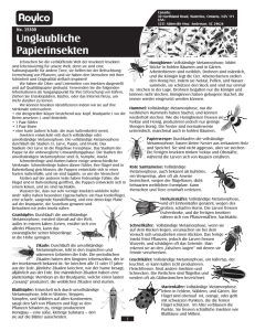 15300 Incredible Insect Paper German Guide