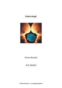 Embryologie Désiré Brendel WS 2004/05 - Leipzig