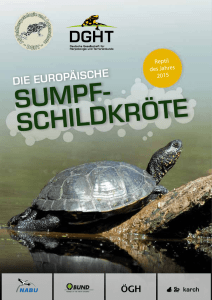 sumpf- schildkröte