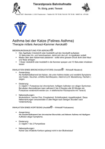 Felines Asthma - Tierarztpraxis Bahnhofmatte
