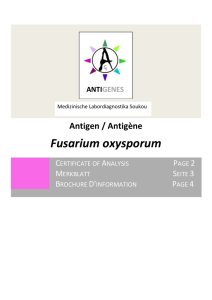 Fusarium oxysporum - Medizinische Labordiagnostika