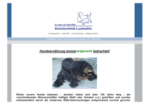 Hundeernährung artgerecht (pdf-Datei)