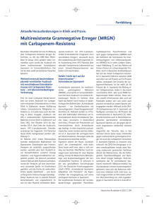 Multiresistente Gramnegative Erreger (MRGN - MRE-Rhein-Main