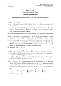 Blatt 13 - Musterlösung - Institut für Mathematik