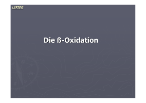 Die ß-Oxidation - Biochemie Trainingscamp