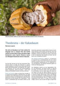 Theobroma – der Kakaobaum - Ökologisch