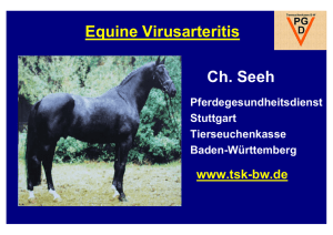 Equine Virusarteritis