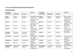 Studylibde Notizen Pr Fungen Bungen Arbeit Aktivit T